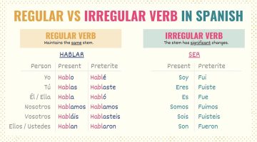 What are the four special verbs in Spanish?