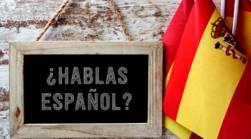 Which are all regular verbs Spanish?